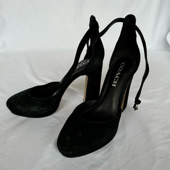 COACH Chrystie Suede Ankle Strap Block Heel Size 5.5 - Picture 1 of 8